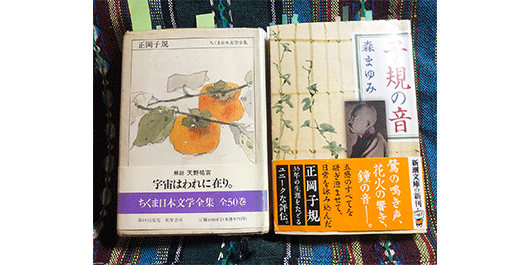 オカタケの「ふくらむ読書」【51】車上所見