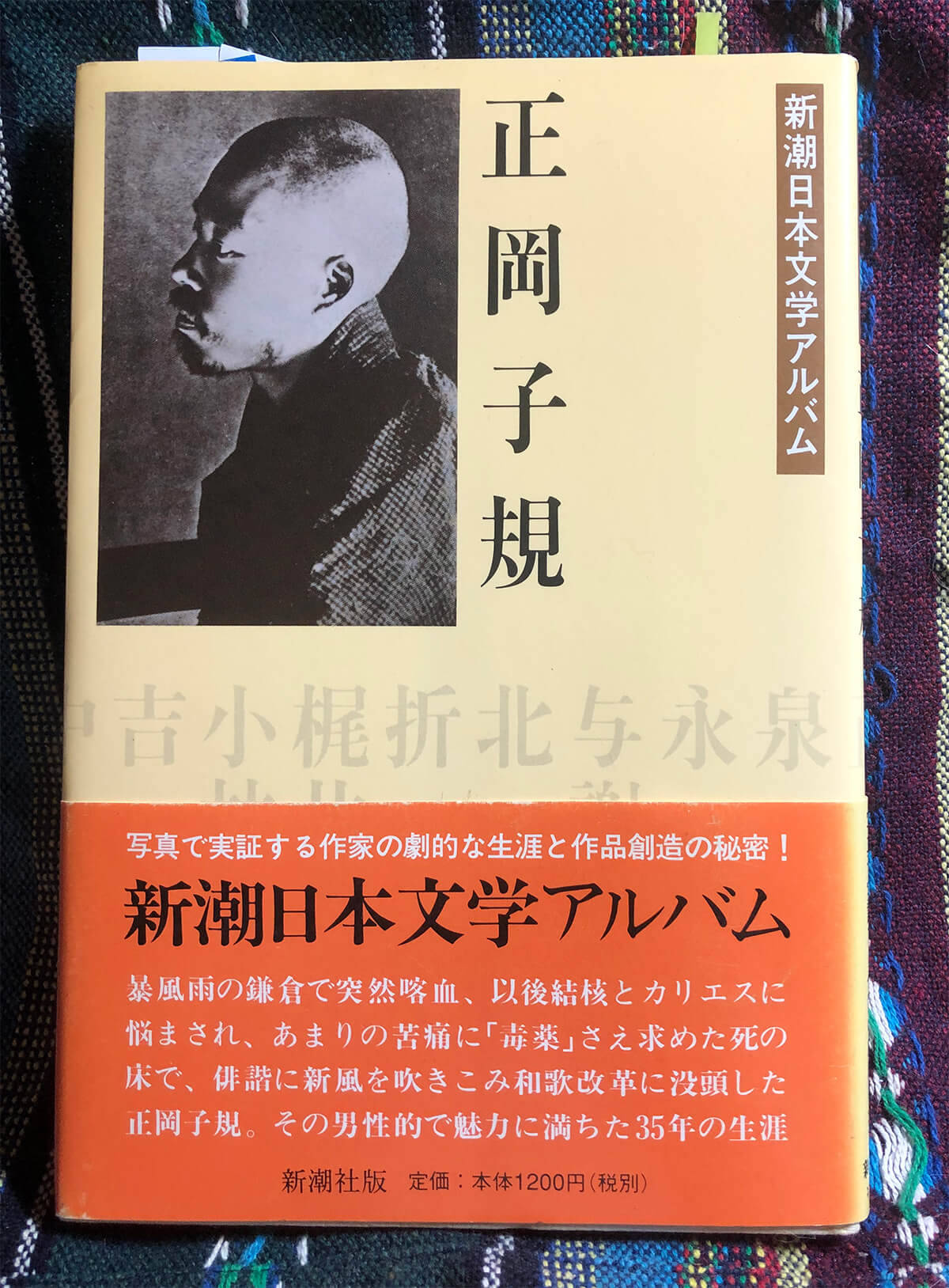 幕末期の〈陽明学〉と明末儒学―修己と天人関係を中心に | 春風社